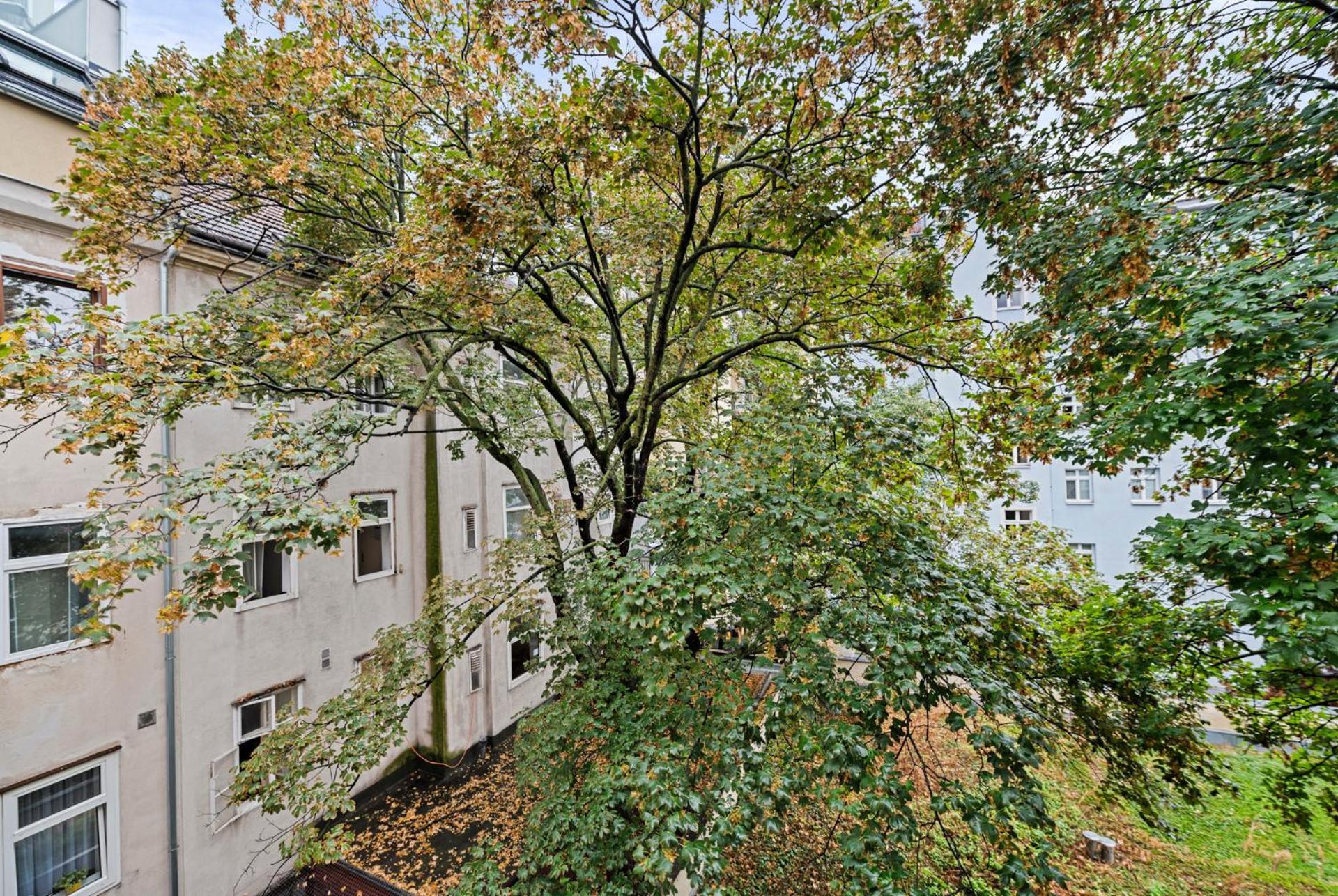 Cozy, Generous City Apartment - 10 Min To City-Centre - Contactless 24H Check-In فيينا المظهر الخارجي الصورة